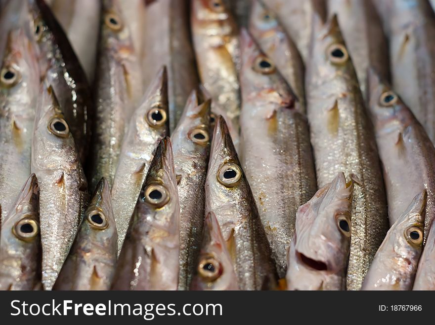 Fish at the market