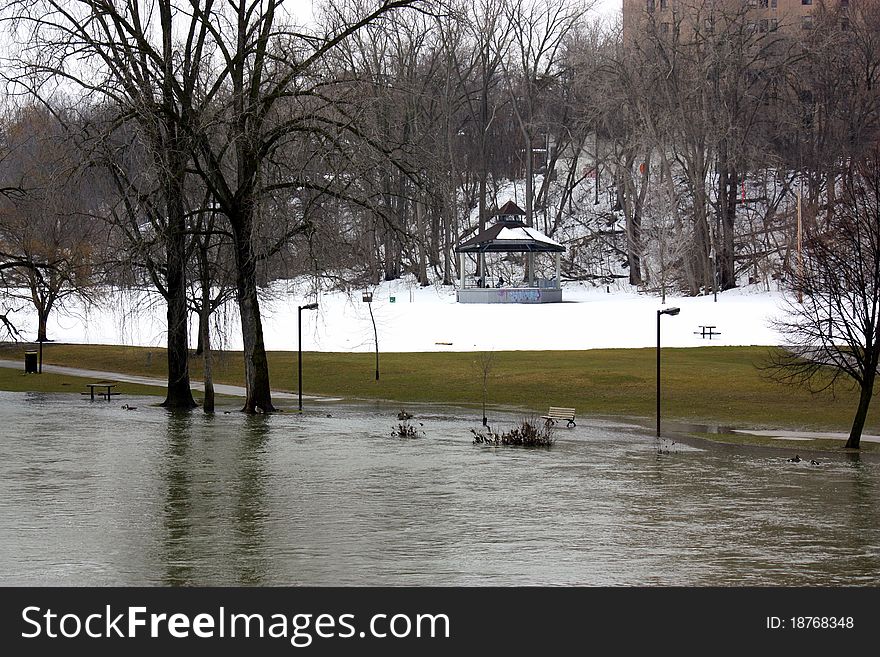 Spring flood in city park. Spring flood in city park