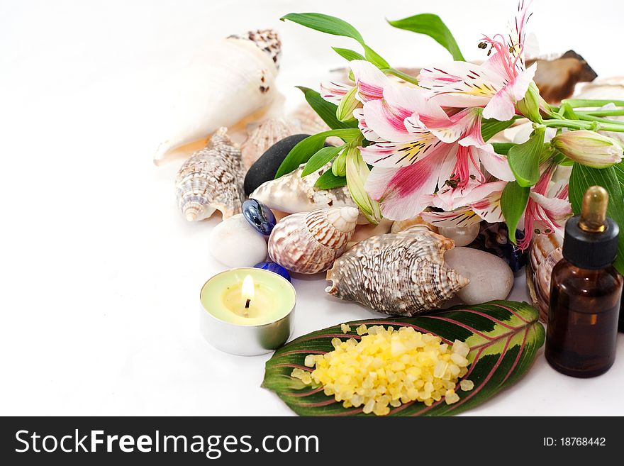 Clams, sea salt, flowers and essential oil isolated on white background. Clams, sea salt, flowers and essential oil isolated on white background