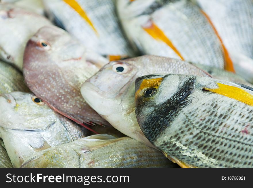 Fish at market for sale in Dubai, UAE.