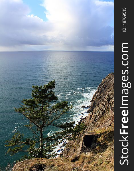 Oregon coast under bright cloudy blue sky, peacefull ocean lapping at cliffs on sunny bright day, large sunlit clouds, lone tree at base of cliff. Vertical layout. Oregon coast under bright cloudy blue sky, peacefull ocean lapping at cliffs on sunny bright day, large sunlit clouds, lone tree at base of cliff. Vertical layout
