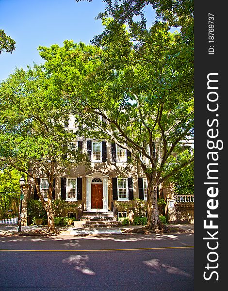 Southern Mansion with scenic tree in front. Southern Mansion with scenic tree in front