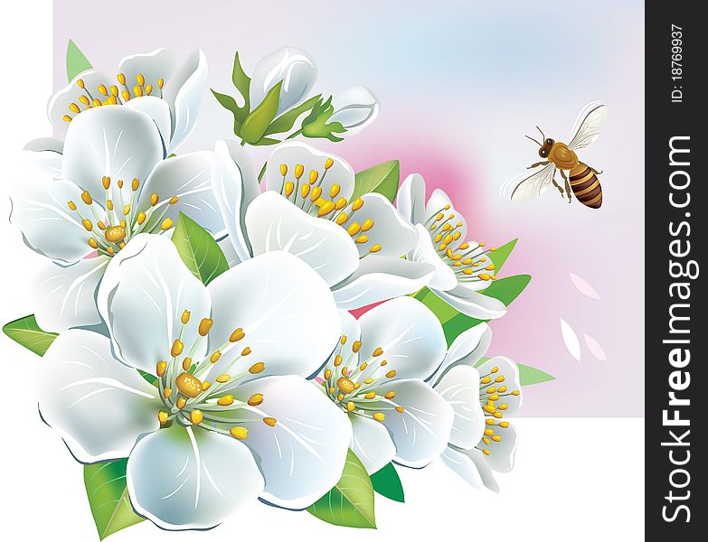 White flowers with leaves and a bee. White flowers with leaves and a bee