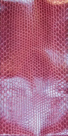 Red Snake Skin Texture Stock Photos Red Snake Skin Texture Stock Photos