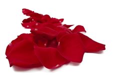 Red Rose Petals Royalty Free Stock Image