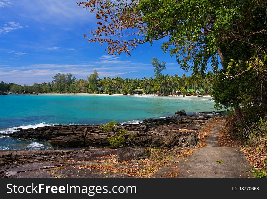 Pathway to tropical beach sea palm trees and ocean