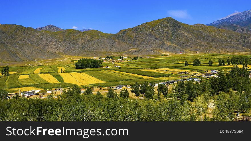 A View Of Xiaodonggou