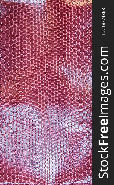 Red Snake Skin Texture