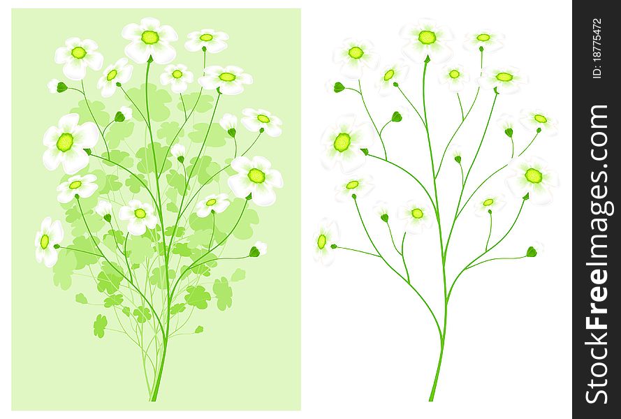Green branch with white colour spring flowers, delicate illustration, isolated. Green branch with white colour spring flowers, delicate illustration, isolated