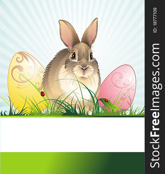 Easter Background With Rabbit