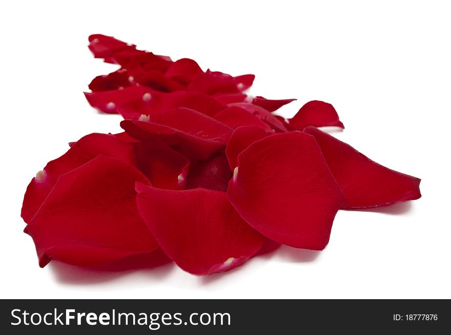 Red rose petals