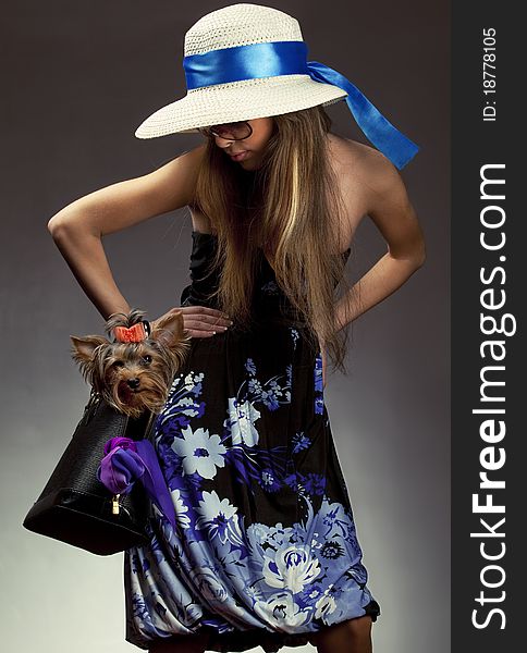 Shot of young glamor woman with Yorkshire Terrier dog in her bag