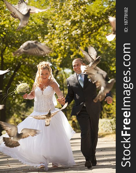 Newly-married couple at the wedding walk