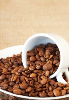 Cup Filled With Coffee Beans Royalty Free Stock Images Cup Filled With Coffee Beans Royalty Free Stock Images