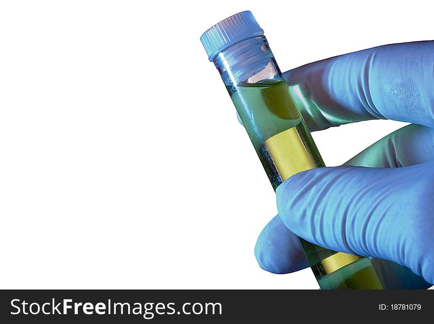 Hand in a glove holding a test tube on a white background. Hand in a glove holding a test tube on a white background.