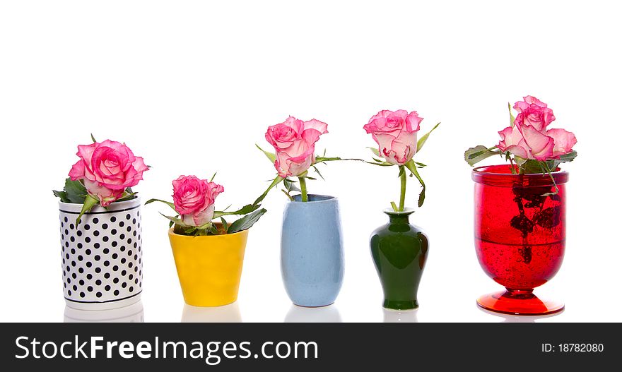 Five little vases with white pink roses isolated over white