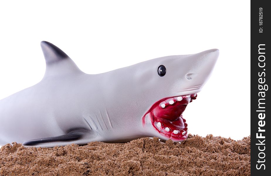 An extramarital grey shark on the beach sand with a bloody mouth isolated over white background