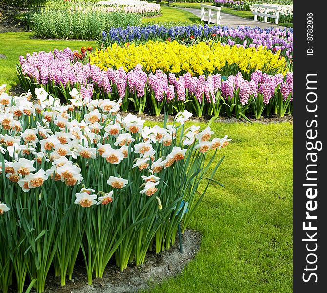 Keukenhof Gardens in Lisse, Netherlands