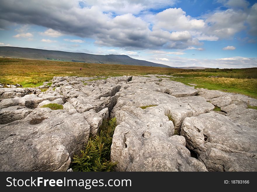 Limestone Pavement