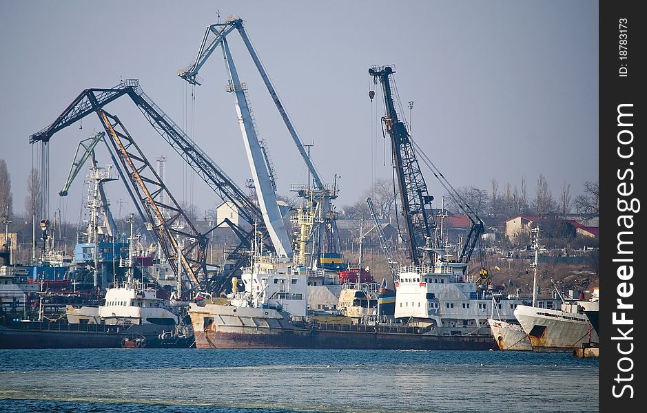 Ships in the port against cranes