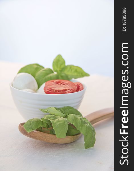 Dish with mozzarella and basil leaves