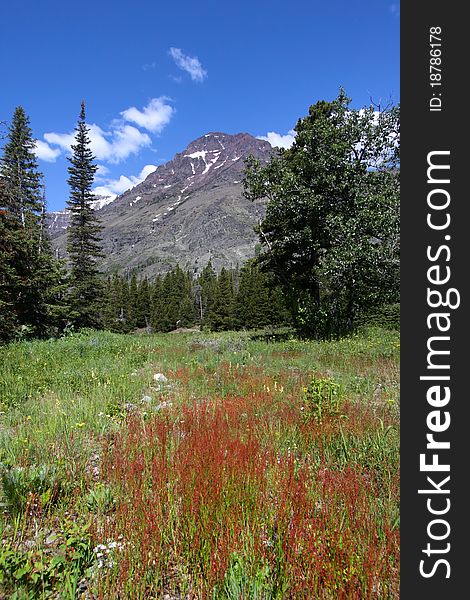 Beautiful landscape in Glacier national park of Montana