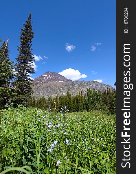 Beautiful landscape in Glacier national park of Montana