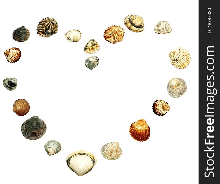 Heart, symbol of love made of sea shells. Heart, symbol of love made of sea shells
