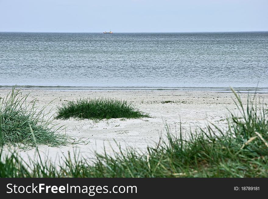Green grass on a deserted beach sea