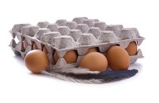 Eggs In Carton Stock Photos Eggs In Carton Stock Photos