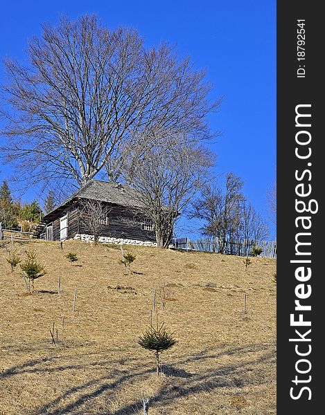 Top chalet and isolated tree on mountain top