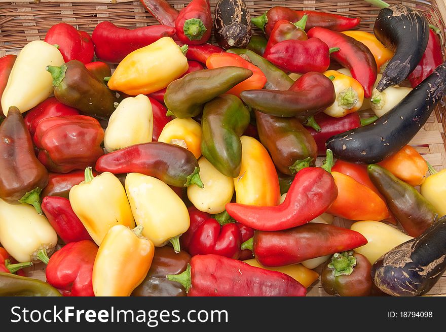 Brightly colored fresh organic peppers. Brightly colored fresh organic peppers