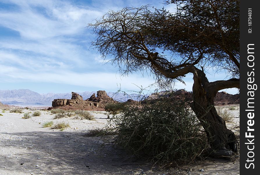 Valley of Timna park, Israel