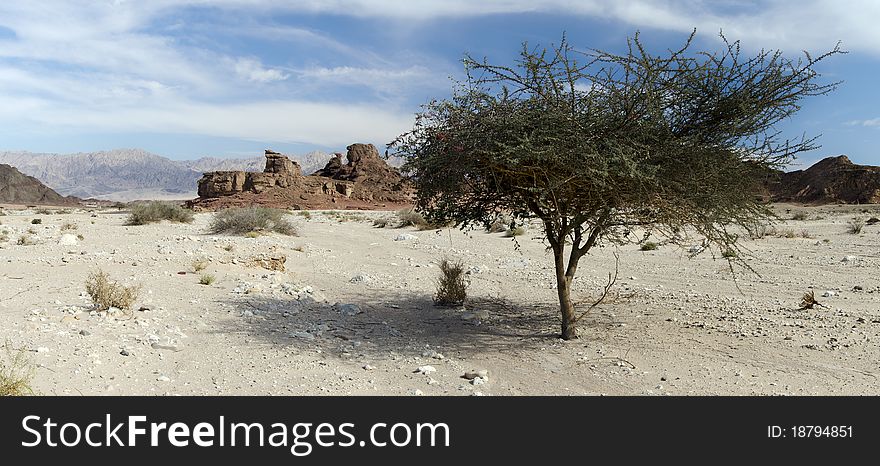 This shot was taken in geological park Timna, desert of Negev, Israel. This shot was taken in geological park Timna, desert of Negev, Israel