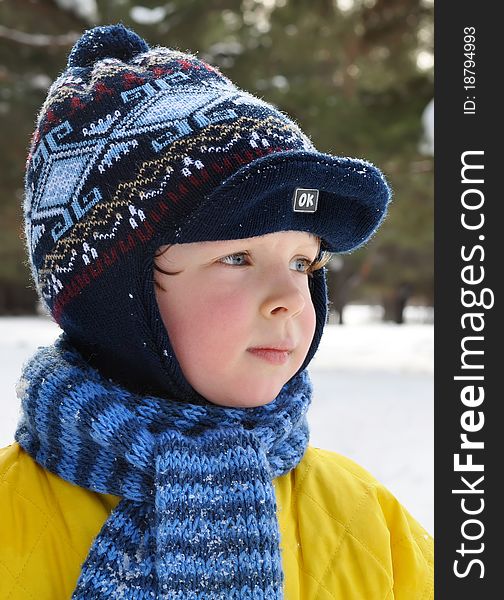 Portrait of boy in the winter clothing. Portrait of boy in the winter clothing.