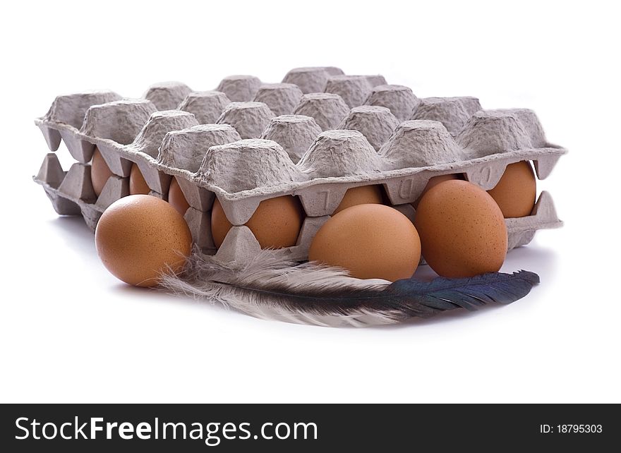 Eggs in carton with feather on white background