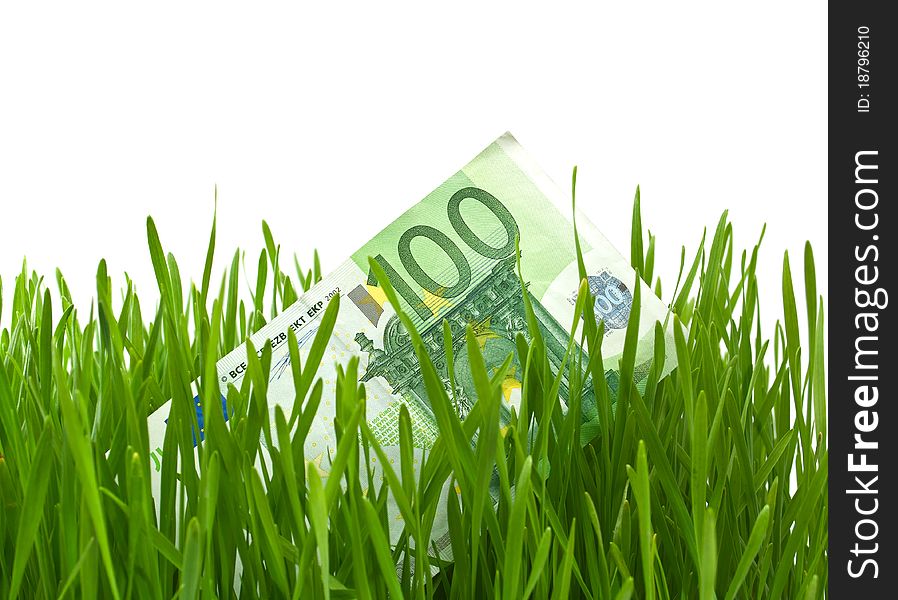 Euro in the green grass