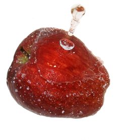 Big Tasty It Is Dark - A Red Apple. Stock Image Big Tasty It Is Dark - A Red Apple. Stock Image