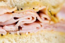 Turkey Sandwich Stock Image Turkey Sandwich Stock Image