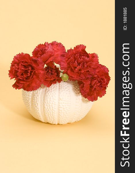 Red Carnations in a white Vase against a yellow background.