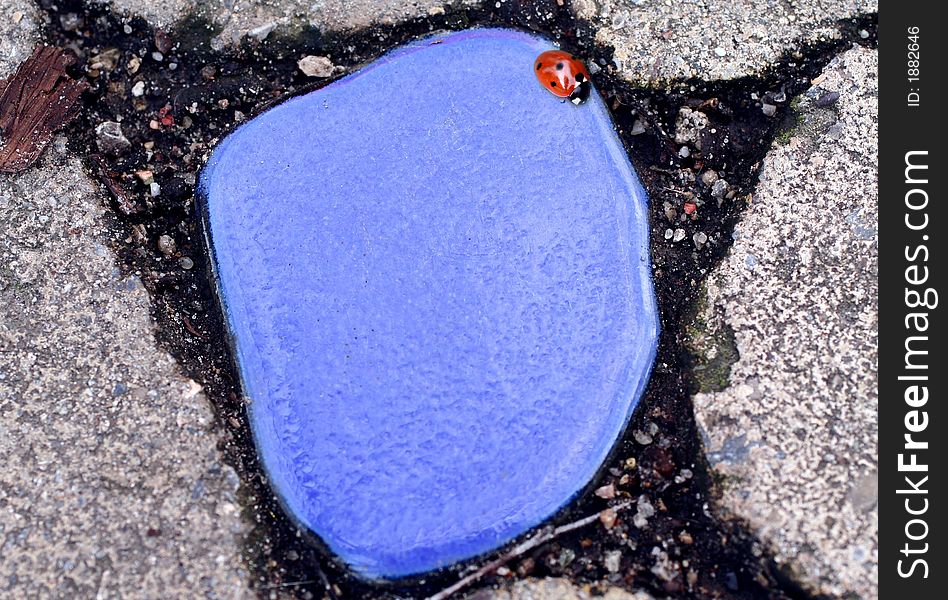 Blue stone with ladybird and grey stones around, close up, space for text