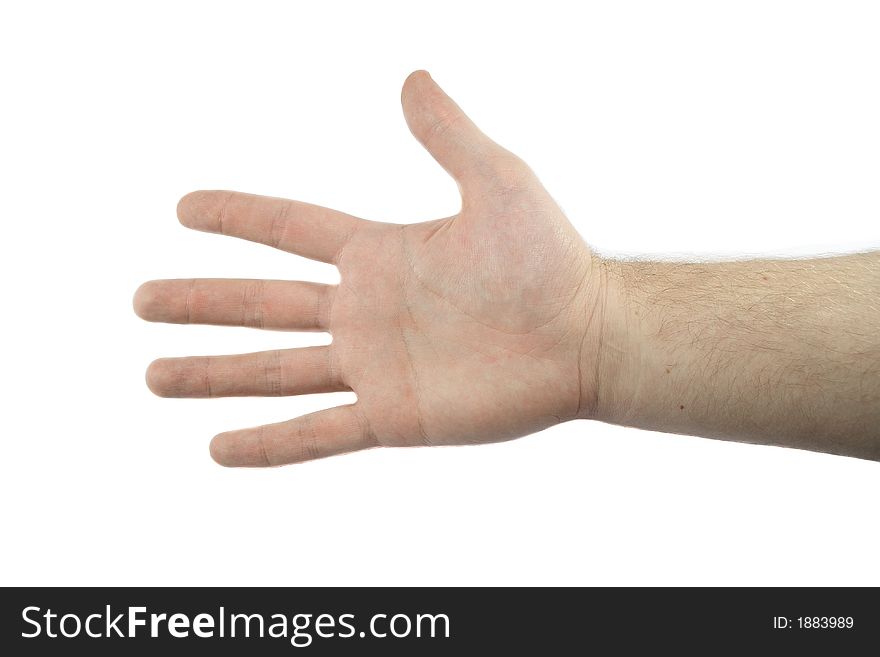 Hand isolated on the white background. 3 tungsten lamps x 300 Watt used for lighting. Hand isolated on the white background. 3 tungsten lamps x 300 Watt used for lighting