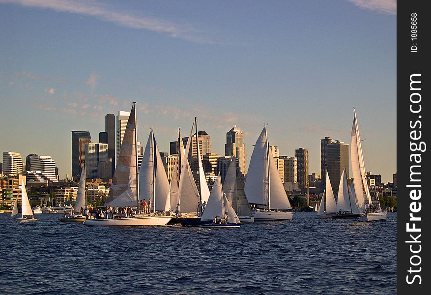 Sailboat traffic on Lake Union in Seattle, WA. Sailboat traffic on Lake Union in Seattle, WA