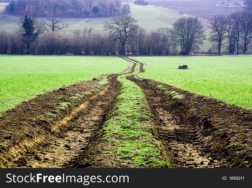A track in a green field on a farm in England. A track in a green field on a farm in England.