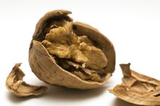Walnut Shell Cracked Stock Photo Walnut Shell Cracked Stock Photo