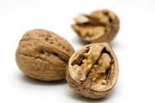 Walnut Shell Cracked Stock Photography Walnut Shell Cracked Stock Photography