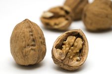 Walnut Shell Cracked Stock Photo Walnut Shell Cracked Stock Photo