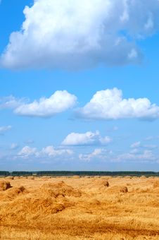 Field With Straw Bales Royalty Free Stock Photos Field With Straw Bales Royalty Free Stock Photos