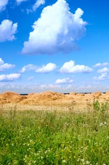 Field With Straw Bales Stock Photo Field With Straw Bales Stock Photo