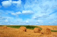 Field With Straw Bales Royalty Free Stock Photo Field With Straw Bales Royalty Free Stock Photo